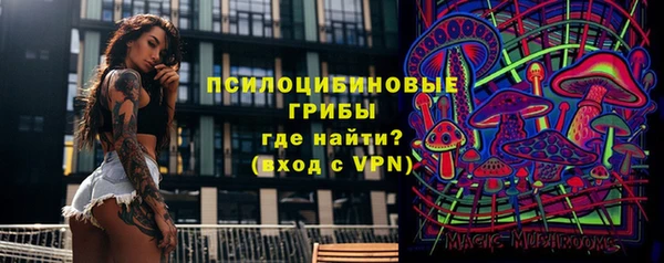 альфа пвп Белокуриха