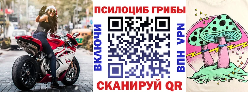 Псилоцибиновые грибы мицелий  где найти наркотики  Маркс 