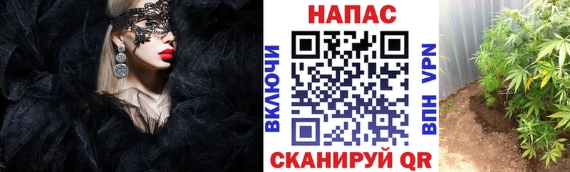 МАРИХУАНА White Widow Маркс